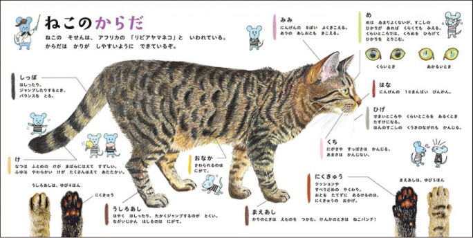 f:id:mojiru:20191002080114j:plain