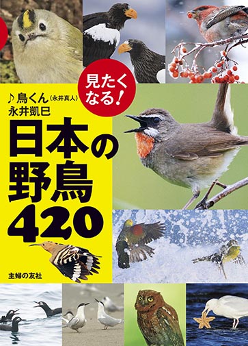 日本の見たい鳥厳選 見たくなる 日本の野鳥4 Mojiru もじをもじる