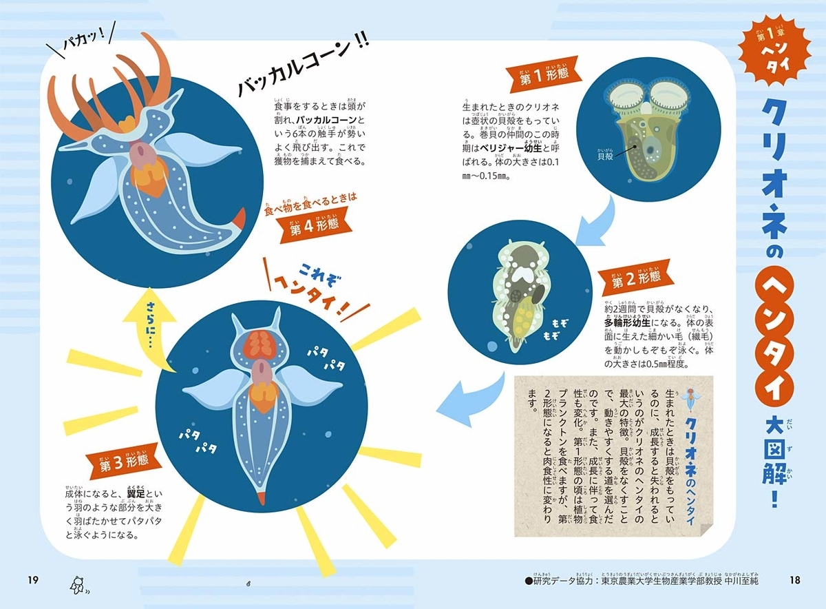 f:id:mojiru:20191122125023j:plain