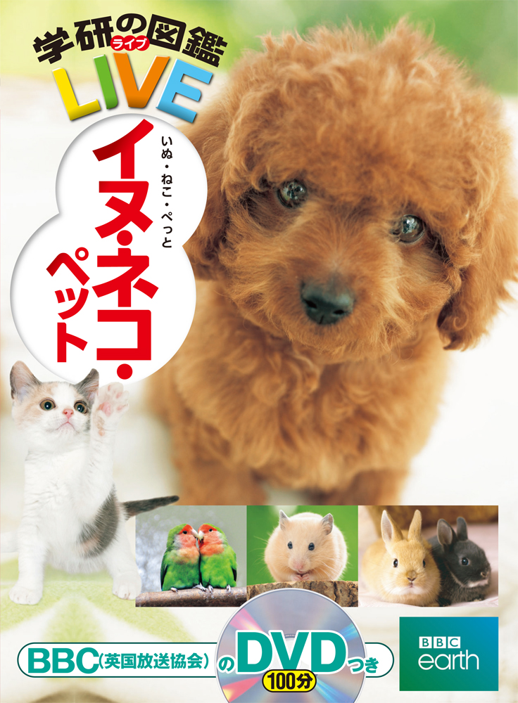 f:id:mojiru:20191210090640j:plain f:id:mojiru:20191210090640j:plain