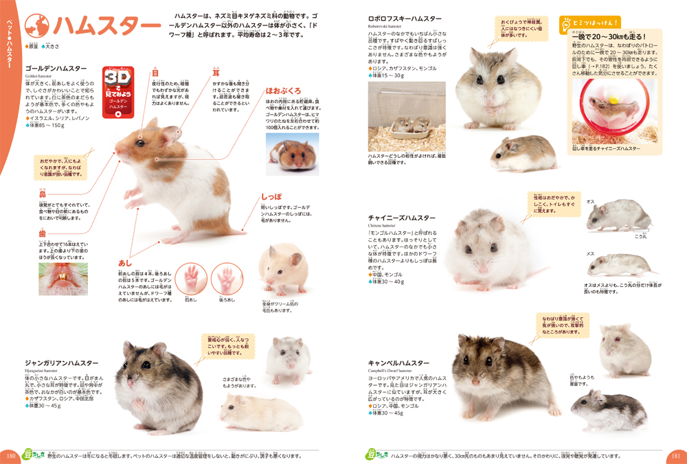 f:id:mojiru:20191210090705j:plain f:id:mojiru:20191210090705j:plain