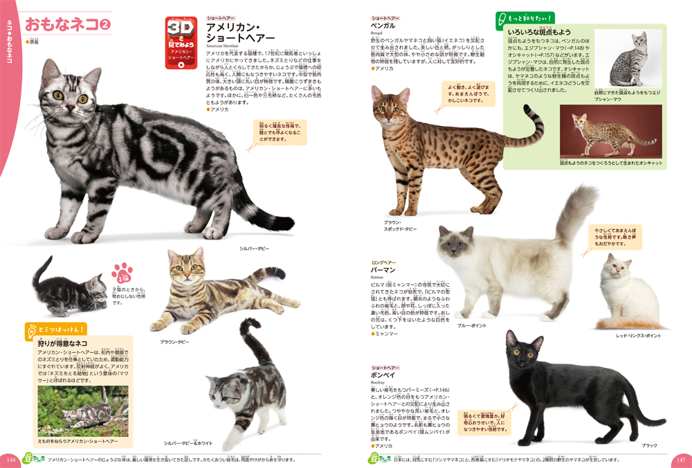 f:id:mojiru:20191210090721j:plain f:id:mojiru:20191210090721j:plain