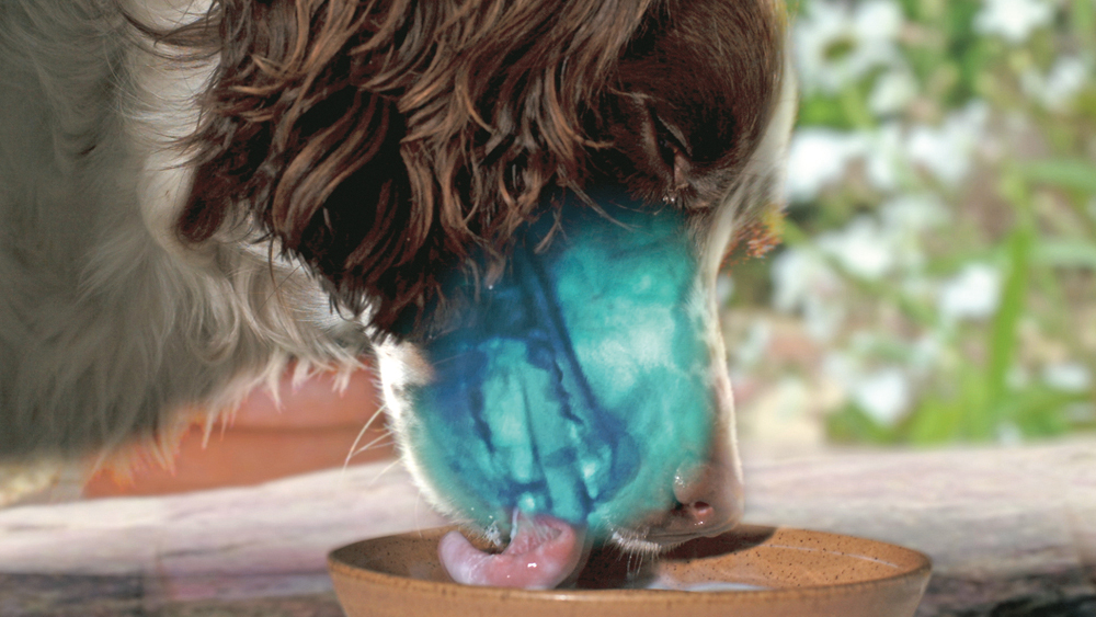 f:id:mojiru:20191210090752j:plain f:id:mojiru:20191210090752j:plain