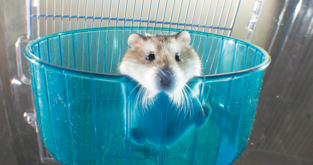 f:id:mojiru:20191210090805j:plain f:id:mojiru:20191210090805j:plain