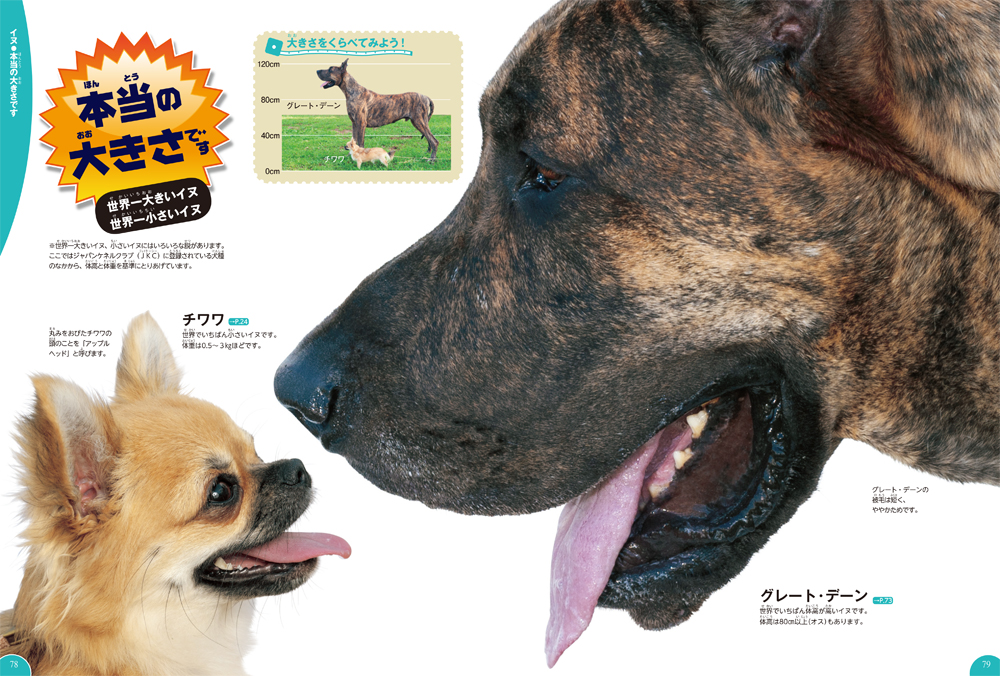 f:id:mojiru:20191210090811j:plain f:id:mojiru:20191210090811j:plain