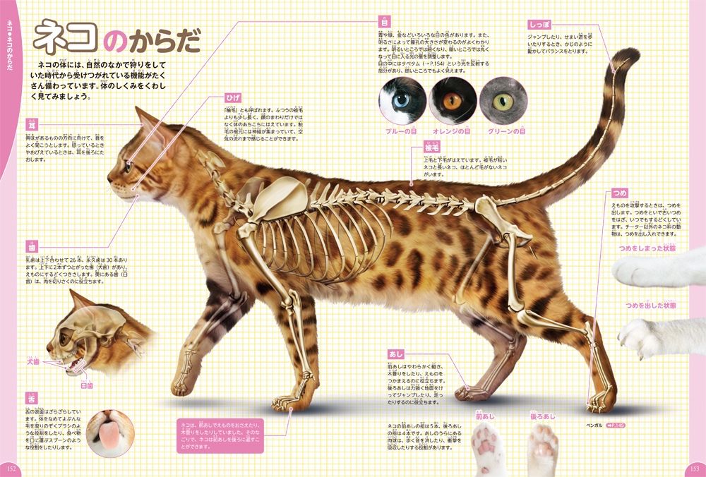 f:id:mojiru:20191210090816j:plain f:id:mojiru:20191210090816j:plain