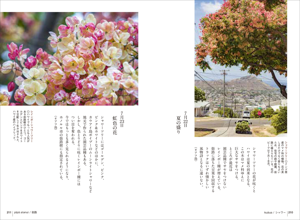 f:id:mojiru:20200512082128j:plain