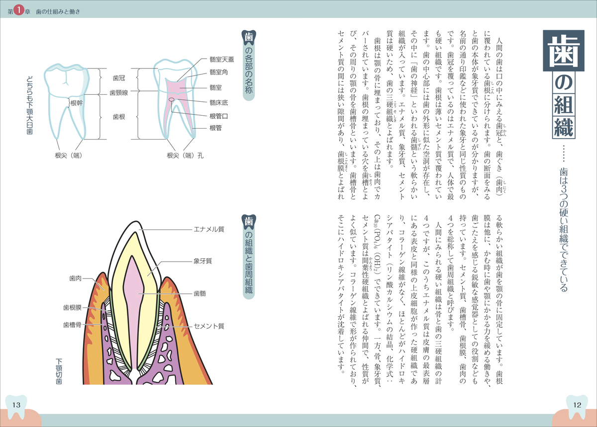 f:id:mojiru:20200630095617j:plain f:id:mojiru:20200630095617j:plain