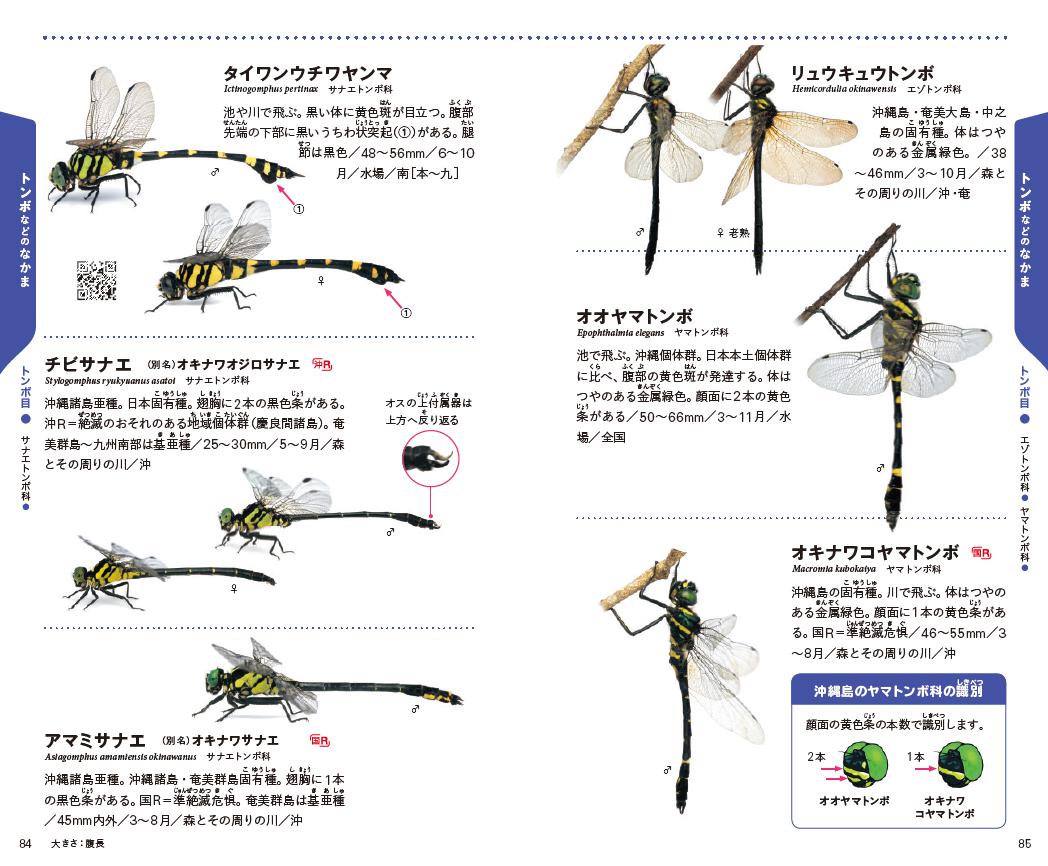 f:id:mojiru:20200811095314j:plain