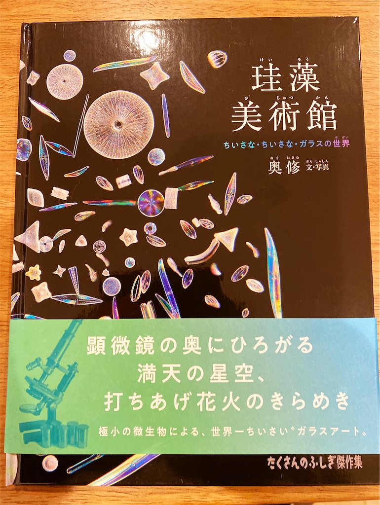 珪藻美術館 = Diatoms Art Museum 珪藻美術館 Diatoms Art Museum | 奥修 |本 | 通販 | Amazon