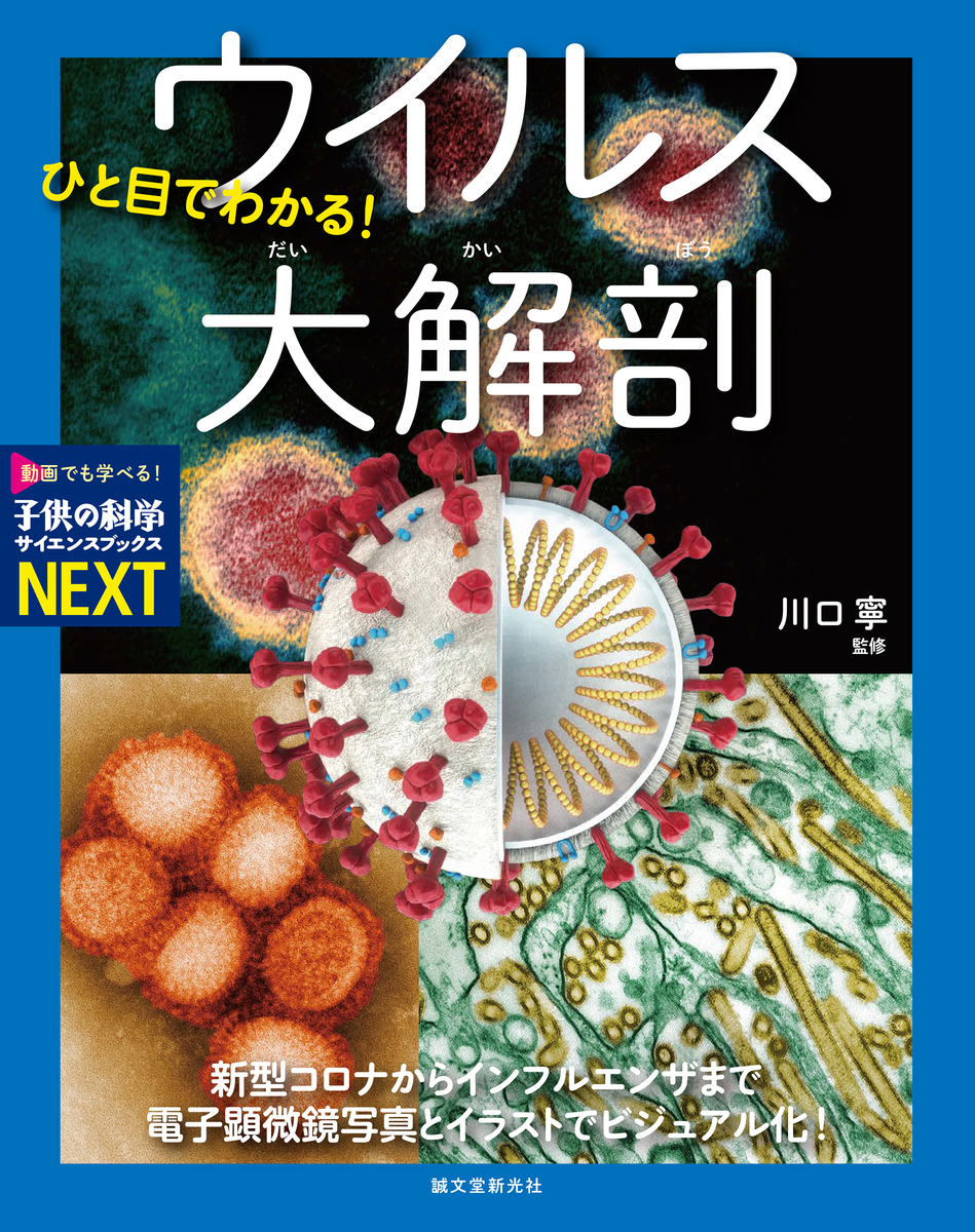 f:id:mojiru:20201223101323j:plain