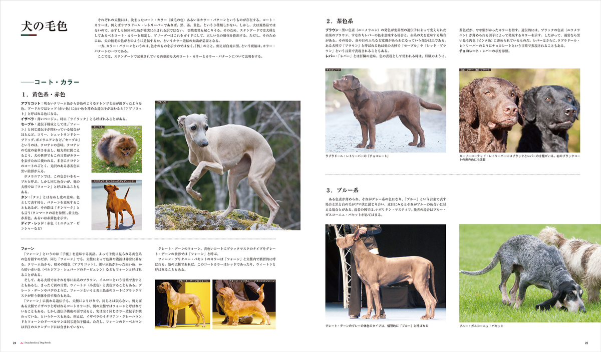 f:id:mojiru:20201223163238j:plain