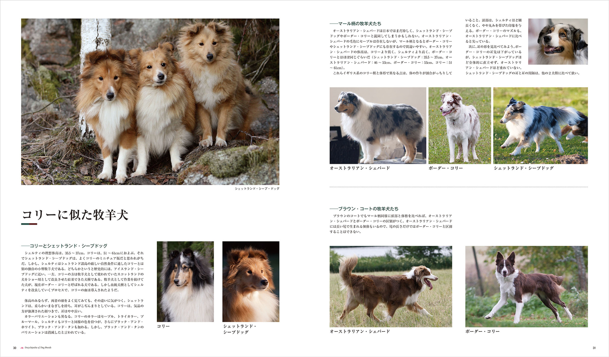 f:id:mojiru:20201223163336j:plain