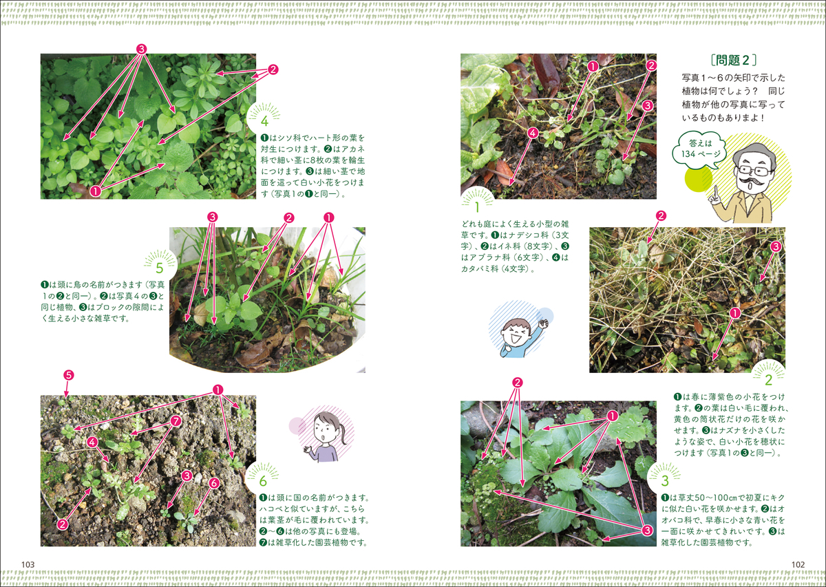 f:id:mojiru:20210507165819j:plain