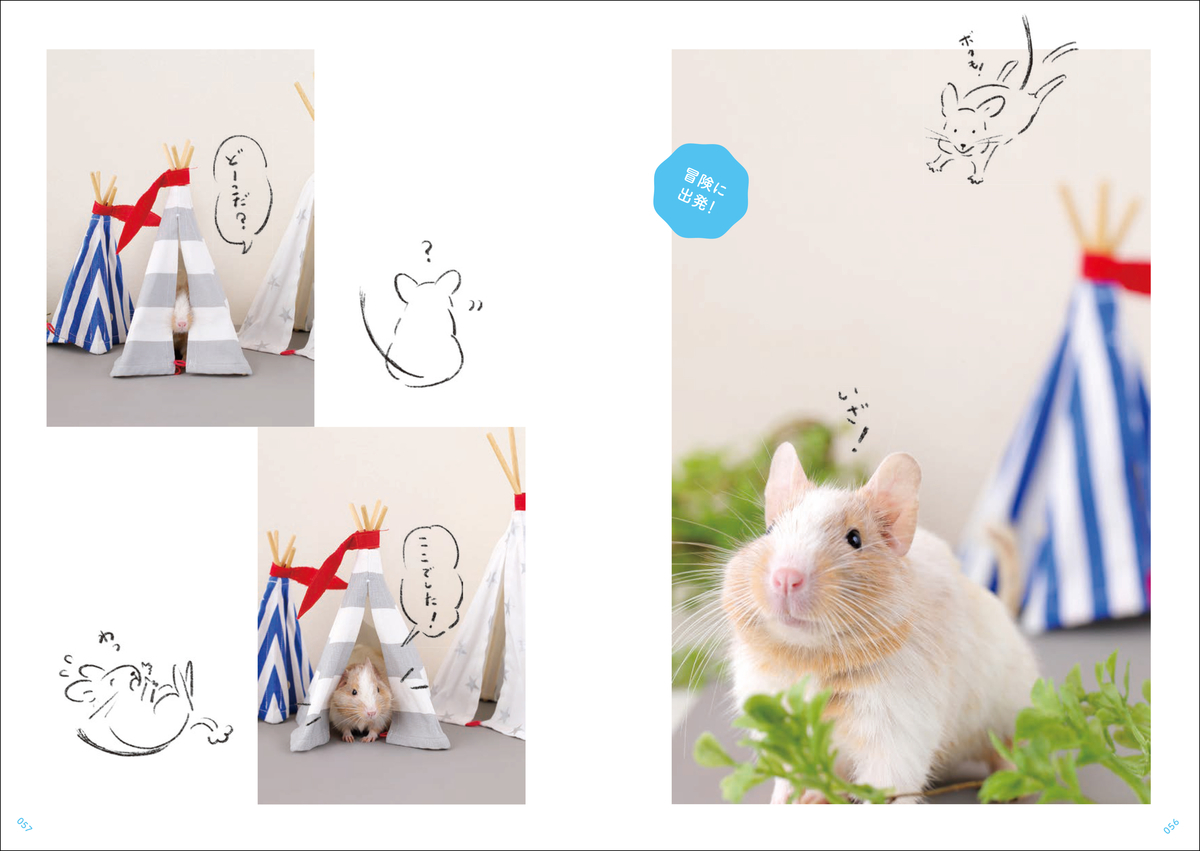 f:id:mojiru:20210507173526j:plain