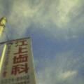 歯