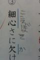 細心さ、心細さ