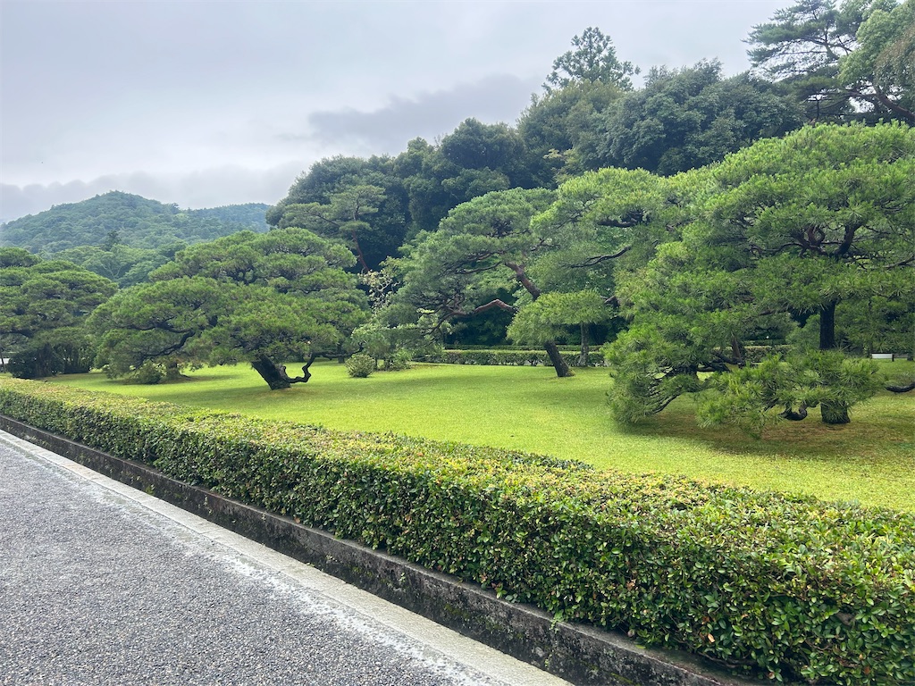 f:id:moka-parfait:20240626070404j:image