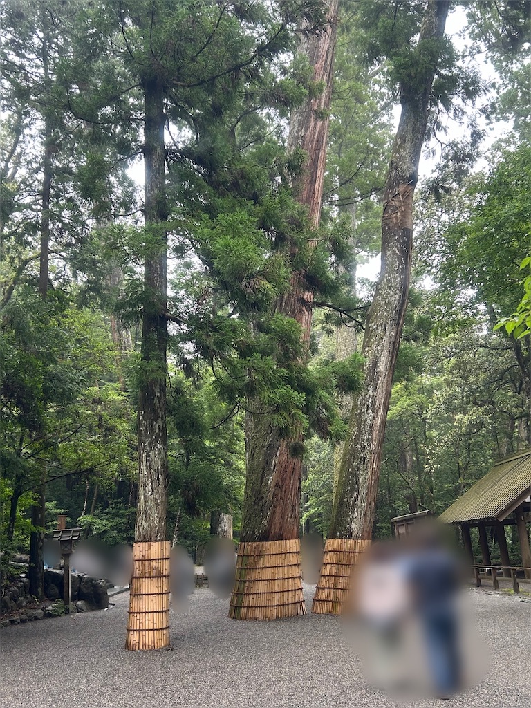 f:id:moka-parfait:20240626120726j:image