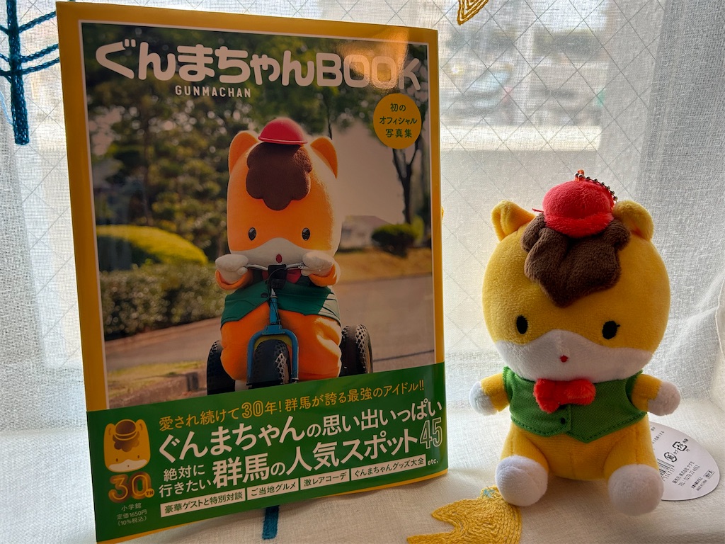 f:id:moka-parfait:20250222205340j:image