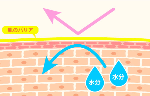 f:id:moka_lalalu:20190408180203j:plain f:id:moka_lalalu:20190408180203j:plain