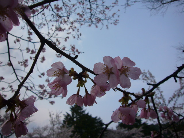 f:id:mokachi99:20110430163519j:image f:id:mokachi99:20110430163519j:image