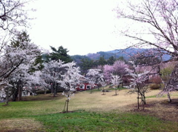f:id:mokachi99:20110522002420j:image f:id:mokachi99:20110522002420j:image