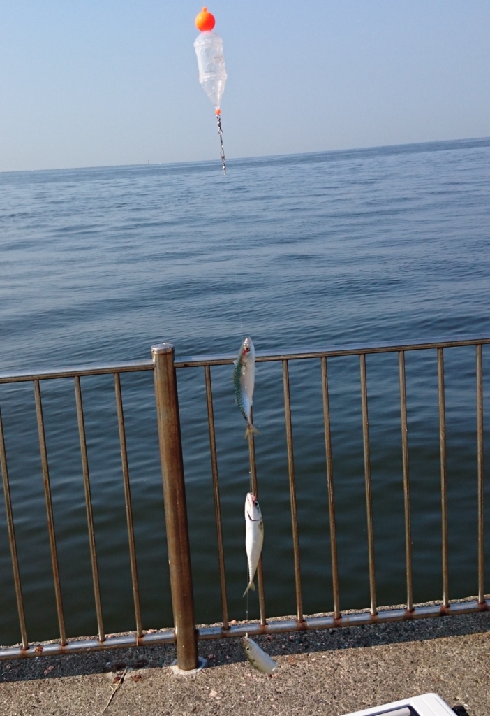f:id:mokamoka5211020:20180720064820j:plain f:id:mokamoka5211020:20180720064820j:plain