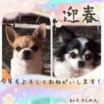 f:id:mokanonmama4:20170101121301j:plain f:id:mokanonmama4:20170101121301j:plain