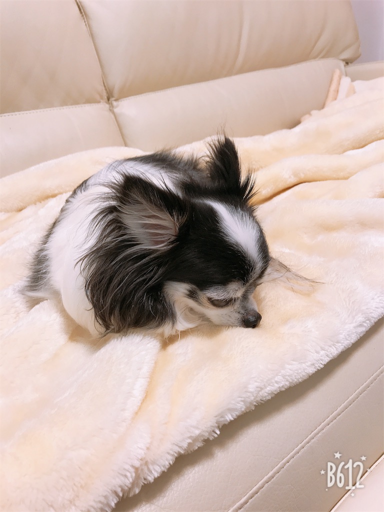 f:id:mokanonmama4:20180331095851j:image
