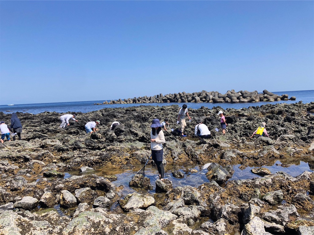 伊豆大島日の出浜の写真