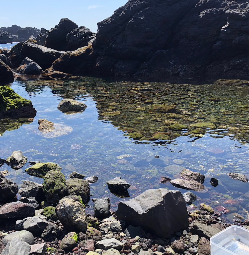 伊豆大島トウシキ遊泳場の写真