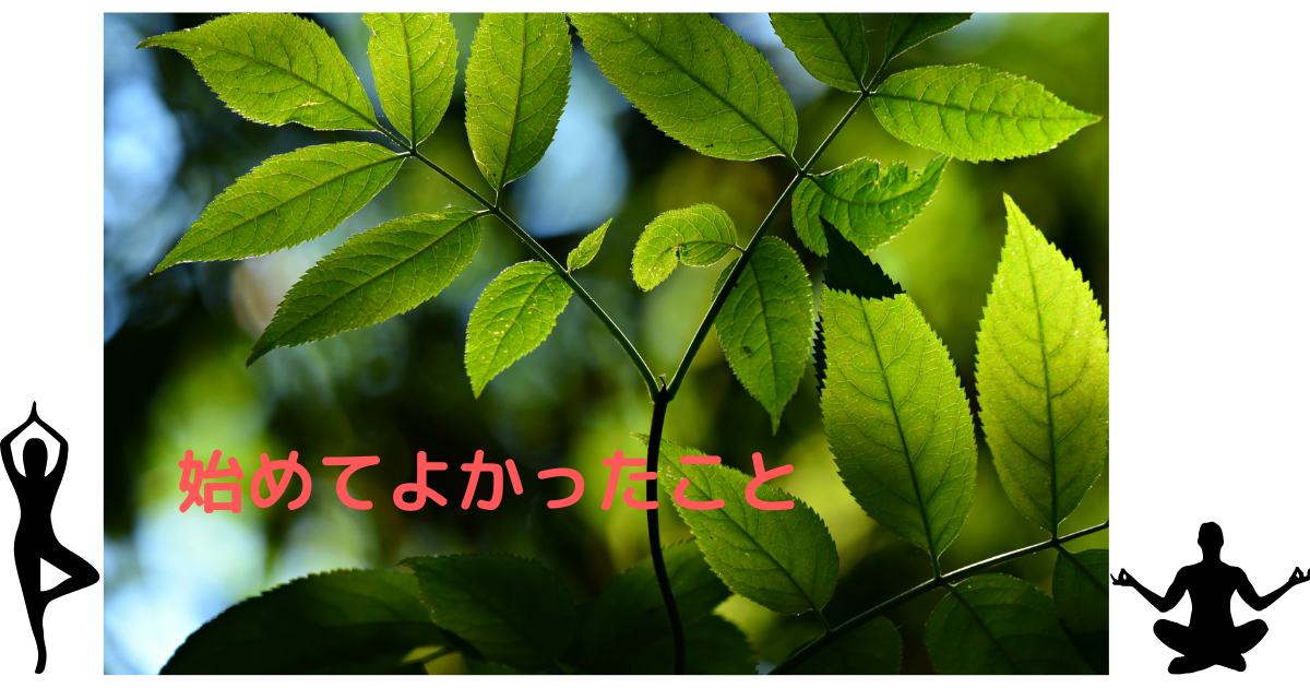 f:id:mokaroom1221:20210623210831p:plain