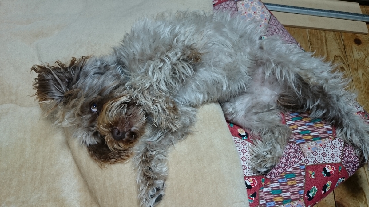 f:id:mokatrip:20190630093452j:plain