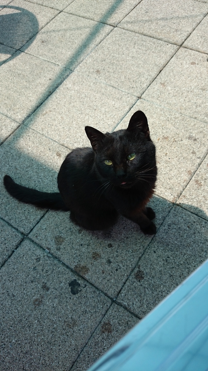 f:id:mokatrip:20190708222024j:plain