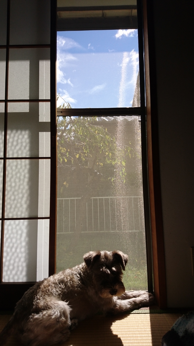f:id:mokatrip:20191022115606j:plain f:id:mokatrip:20191022115606j:plain