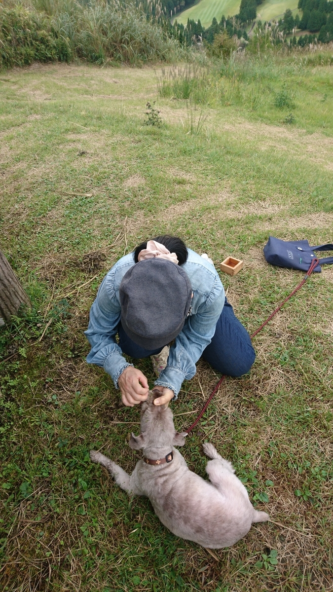 f:id:mokatrip:20201005213149j:plain f:id:mokatrip:20201005213149j:plain