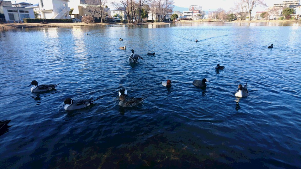 f:id:mokatrip:20210113200424j:plain