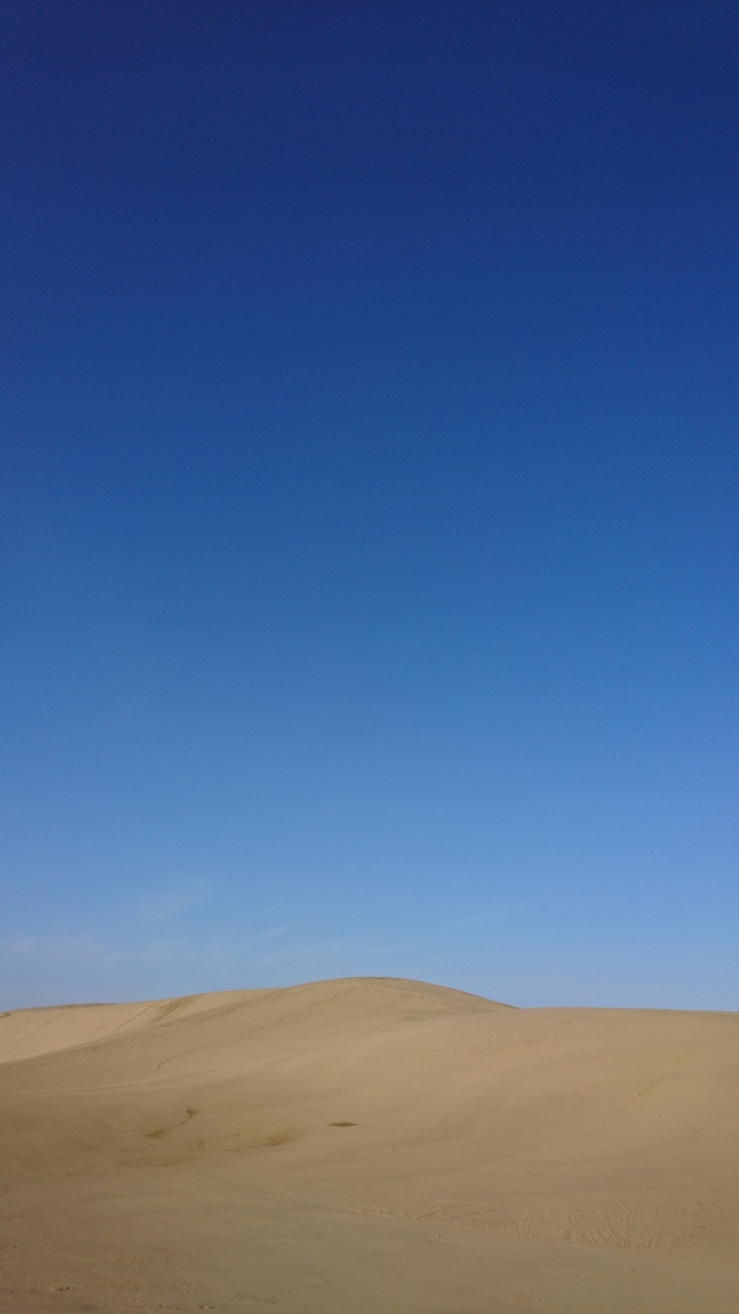 f:id:mokatrip:20210312230543j:plain