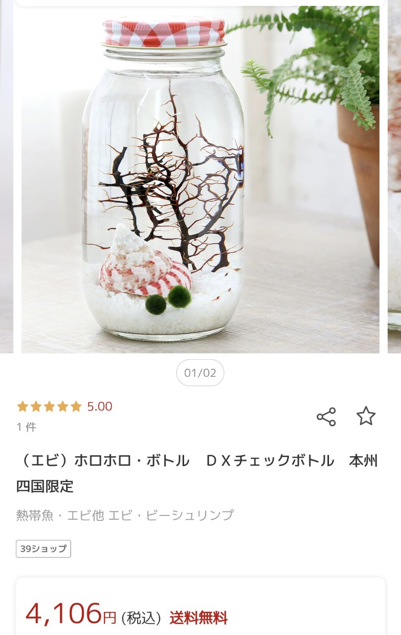 f:id:mokizoaqua:20260607184324j:image