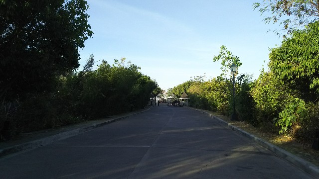 f:id:mokkorotanko0713:20190316091542j:image