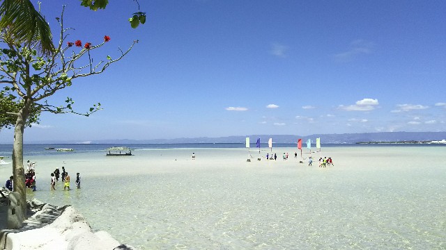 f:id:mokkorotanko0713:20190316092958j:image