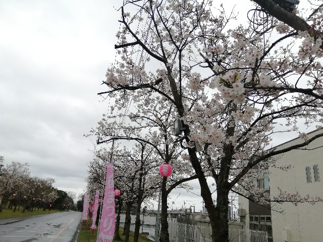 f:id:mokkorotanko0713:20200328143011j:image