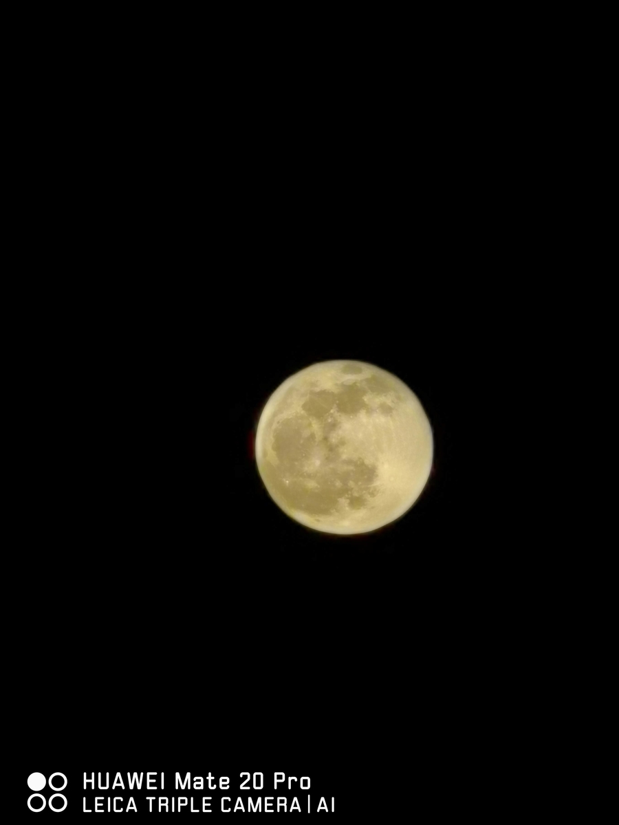f:id:mokku1014:20200715215155j:plain f:id:mokku1014:20200715215155j:plain