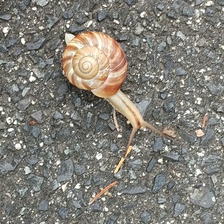 f:id:mokkun49:20200701163512j:plain