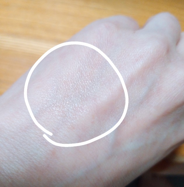 f:id:mokkun49:20210823183010j:plain