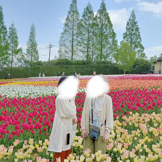 f:id:mokkun49:20230501172134j:image f:id:mokkun49:20230501172134j:image