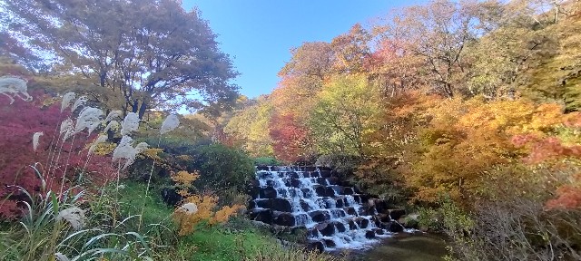 f:id:mokkun49:20251109162128j:image f:id:mokkun49:20251109162128j:image