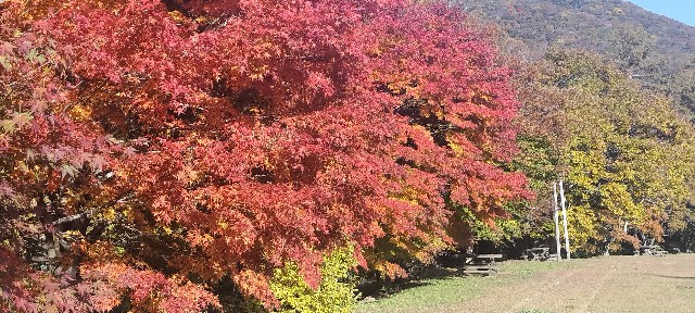 f:id:mokkun49:20251109162211j:image f:id:mokkun49:20251109162211j:image