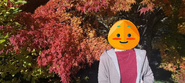 f:id:mokkun49:20251109163258j:image f:id:mokkun49:20251109163258j:image